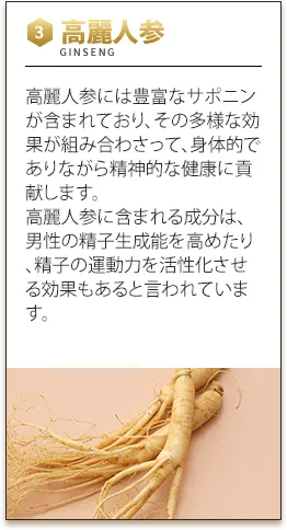 高麗人参　高麗人参には豊富なサポニンが含まれており、その多様な効果が組み合わさって、身体的でありながら精神的な健康に貢献します。高麗人参に含まれる成分は、男性の精子生成能を高めたり、精子の運動力を活性化させる効果もあると言われています。