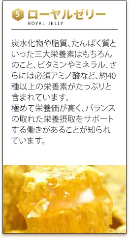 ローヤルゼリー　炭水化物や脂質、たんぱく質といった三大栄養素はもちろんのこと、ビタミンやミネラル、さらには必須アミノ酸など、約40種以上の栄養素がたっぷりと含まれています。極めて栄養価が高く、バランスの取れた栄養摂取をサポートする働きがあることが知られています。